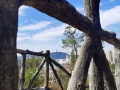-青龙山国家森林公园