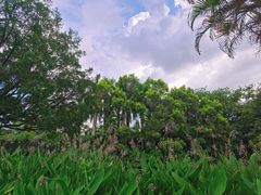 -人民公园(罗湖区)