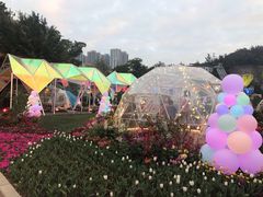 -龙环葡韵住宅式博物馆