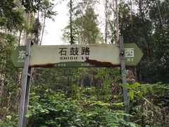 -南国桃园旅游度假区