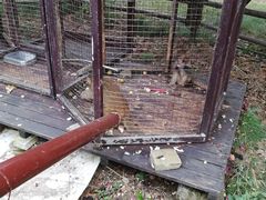 -武汉紫薇都市田园