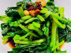 豉油罗马生菜-兰湘子·湘菜小炒(石家庄万象城店)