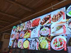 -龙翔山庄雷鸡肉(青城后山泰安古镇店)
