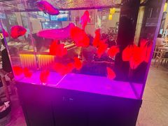 -五丁桥光头香辣蟹(望江橡树林店)