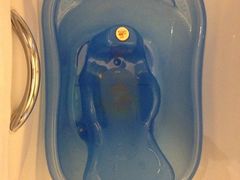 婴儿浴盆-上海璞麗酒店