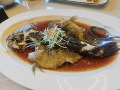 -喜来登由由大酒店九州膳坊中餐厅