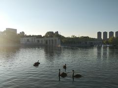 -长春世界雕塑园冰雪艺术天地