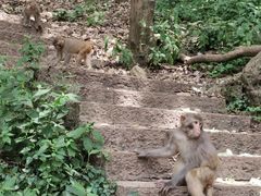 -黔灵山公园