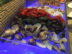 -OPEN開全日自助餐厅·牛肉火锅·海鲜(佛山希尔顿酒店)