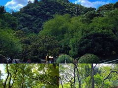 -黔灵山公园