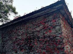 -广州市干部健康管理中心