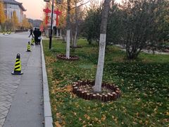 -白桦林温泉谷