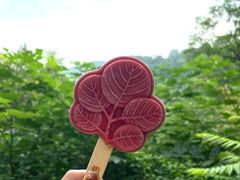 -香山公园