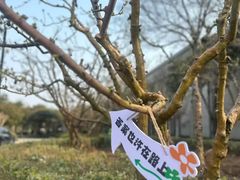 -青岛鑫江温德姆酒店