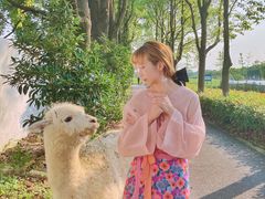 -停车场(海乐路)