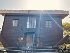 -金山农民画村-枫泾波兰倒置屋