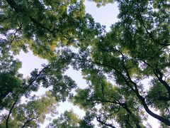 -渭滨公园