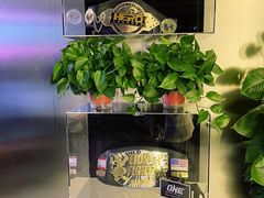 -花环泰拳·勒德斯拉泰拳馆(静安店)