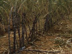 -军山湖云水间生态农业旅游景区