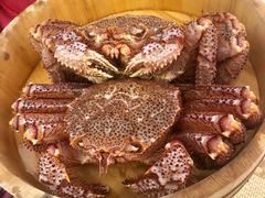 -蟹田居·活蟹料理(东城店)