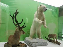 -国家自然博物馆