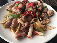 -339旋转餐厅(天府熊猫塔店)