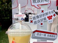 -陆家嘴中心绿地