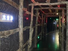 -陕西自然博物馆