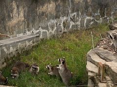 -宁波野生动物园
