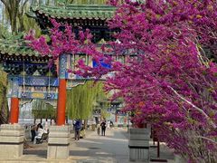 -北京市西城区德胜社区卫生服务中心