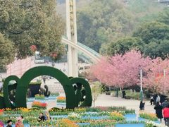 -南山植物园