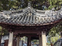 -秋霞圃