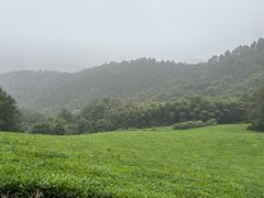 -敬亭山风景名胜区