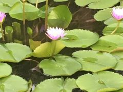 -神光山国家森林公园