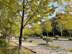 -浙江农林大学(东湖校区)