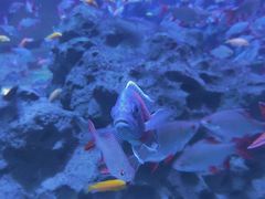 -成都浩海立方海洋公园