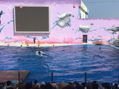 -北戴河圣蓝海洋公园