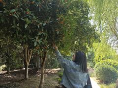 -怡园·园林私房菜