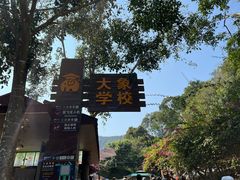 -野象谷景区