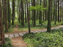 -采石矶景区