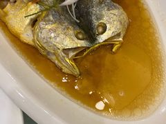 清蒸太湖白鱼-華僑飯店中餐厅