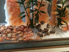 -鸿腾国际大酒店-海鲜姿造海鲜烤肉自助餐