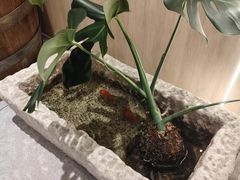 -赶海部落海鲜城(海阳路店)