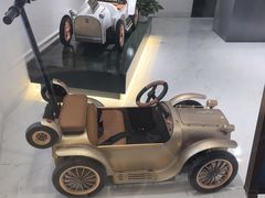 -浩海火烧云傣家菜(蓝港店)