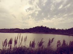 -星巴克(成都科学城店)