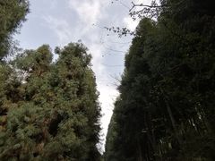 -山王坪喀斯特国家生态公园