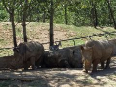 -大连森林动物园