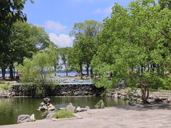 -溱湖国家湿地公园