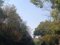 -宝界山林公园