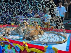 -广州长隆国际大马戏